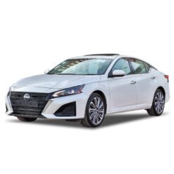 التيما 2025 SV