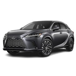RX