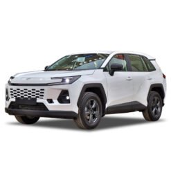 راف فور 2026 LE بدون دبل