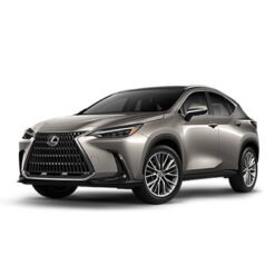 NX